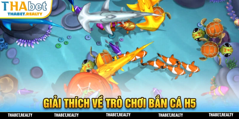 Giải thích về khái niệm và trò chơi bắn cá H5